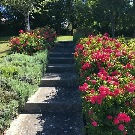 Cap Bleu * Blonville-sur-Mer